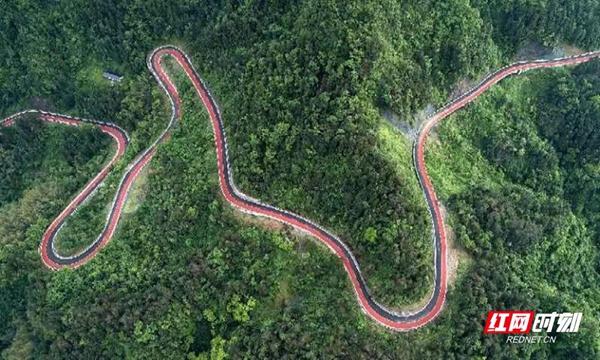 　　插園公路。