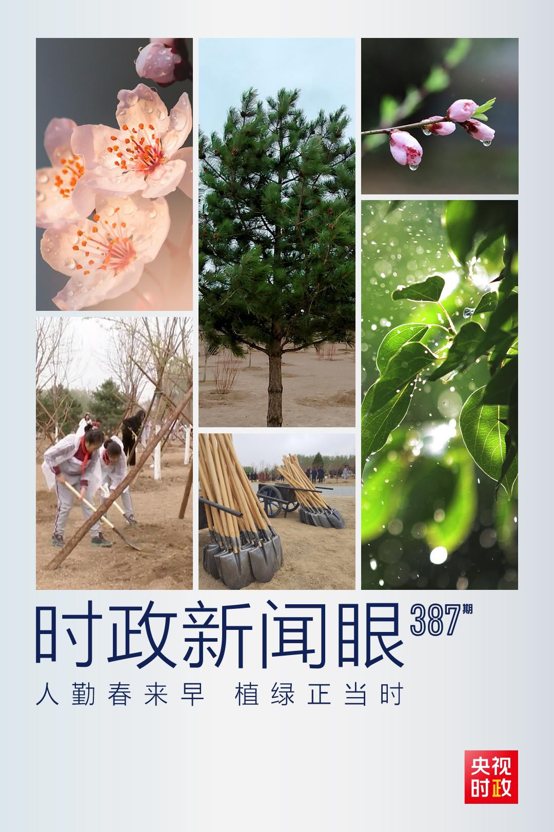 在今年首都義務(wù)植樹(shù)現(xiàn)場(chǎng)，習(xí)近平這三句話飽含深意