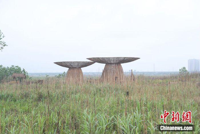 江水變清、江豚重現(xiàn)……這座城市如何守護(hù)碧水