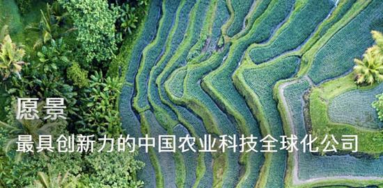 先正達(dá)過會(huì)！A股史上第四大IPO什么來頭？
